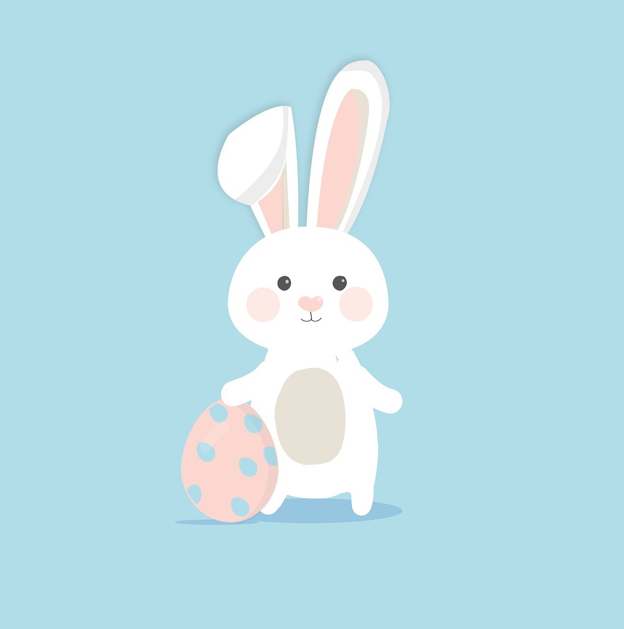 bunnybank