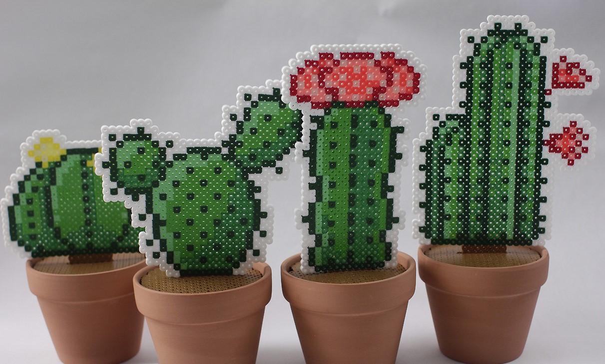 Cactus