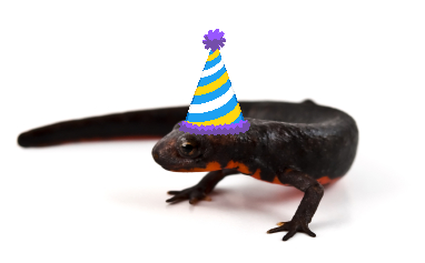 a newt in a party hat