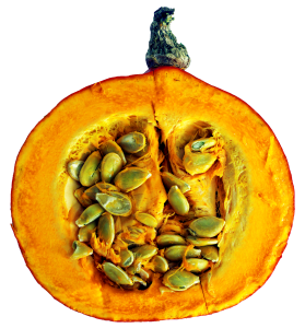 cut in half pumpkin exposing the seeds