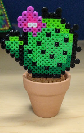 Cactus