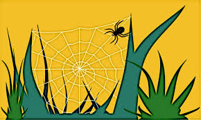 Clipart with grasses and spider on a web