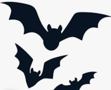 bats