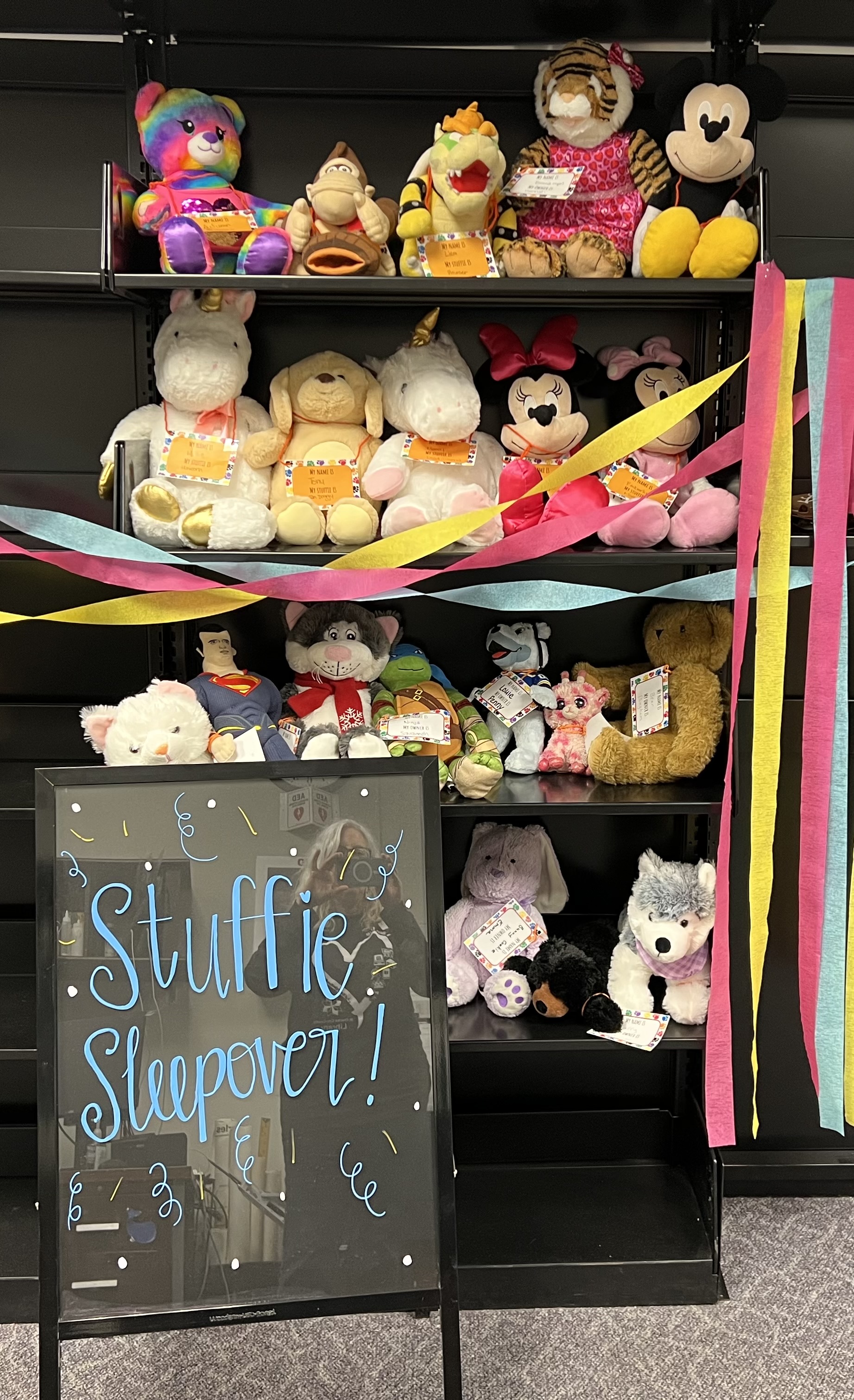 Stuffie Sleepover animals