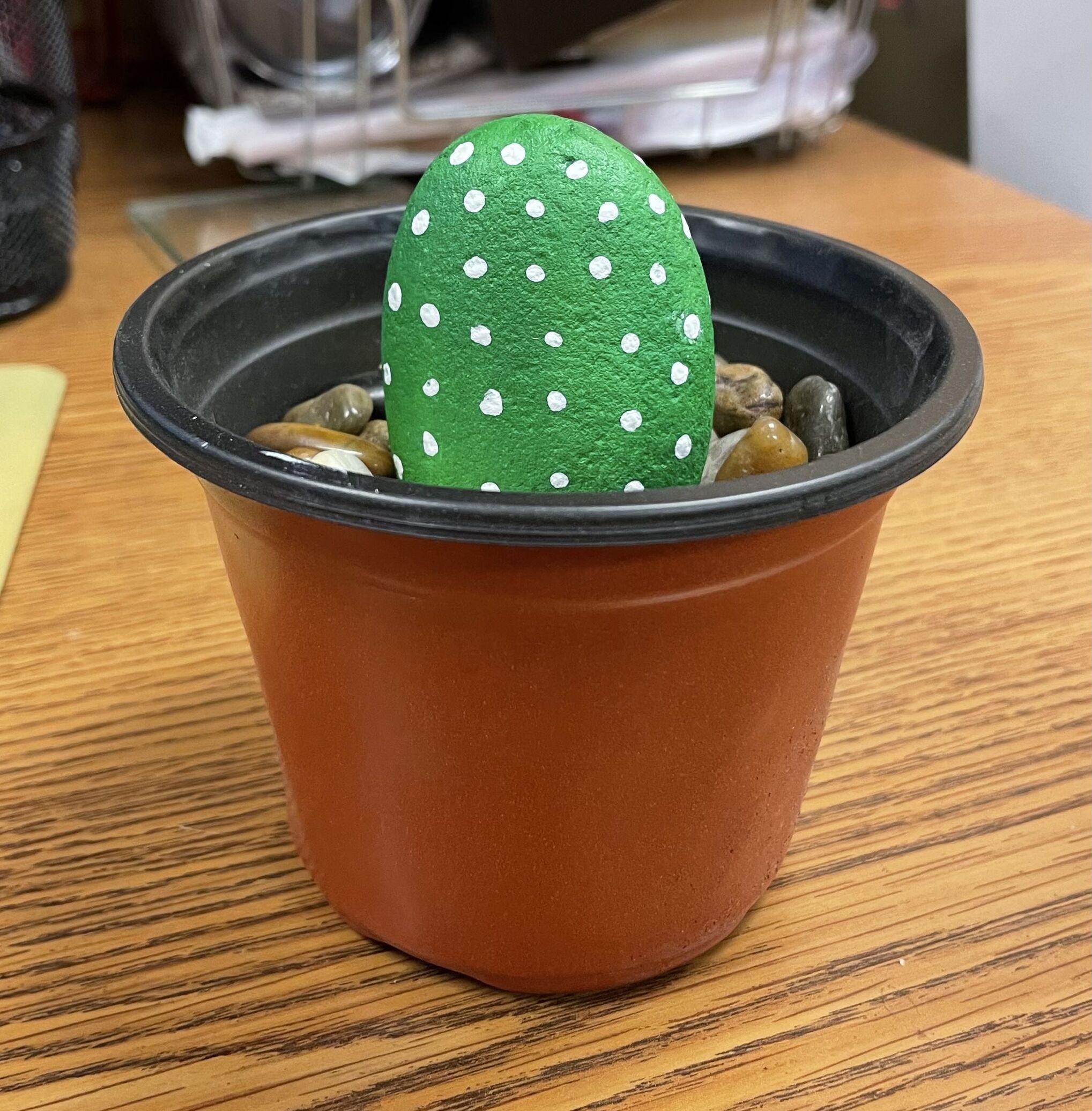 Cactus Pebble