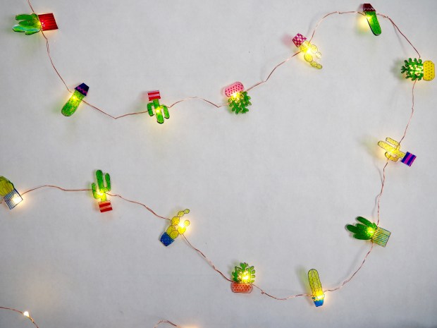 Cactus shrinky dinks on string light