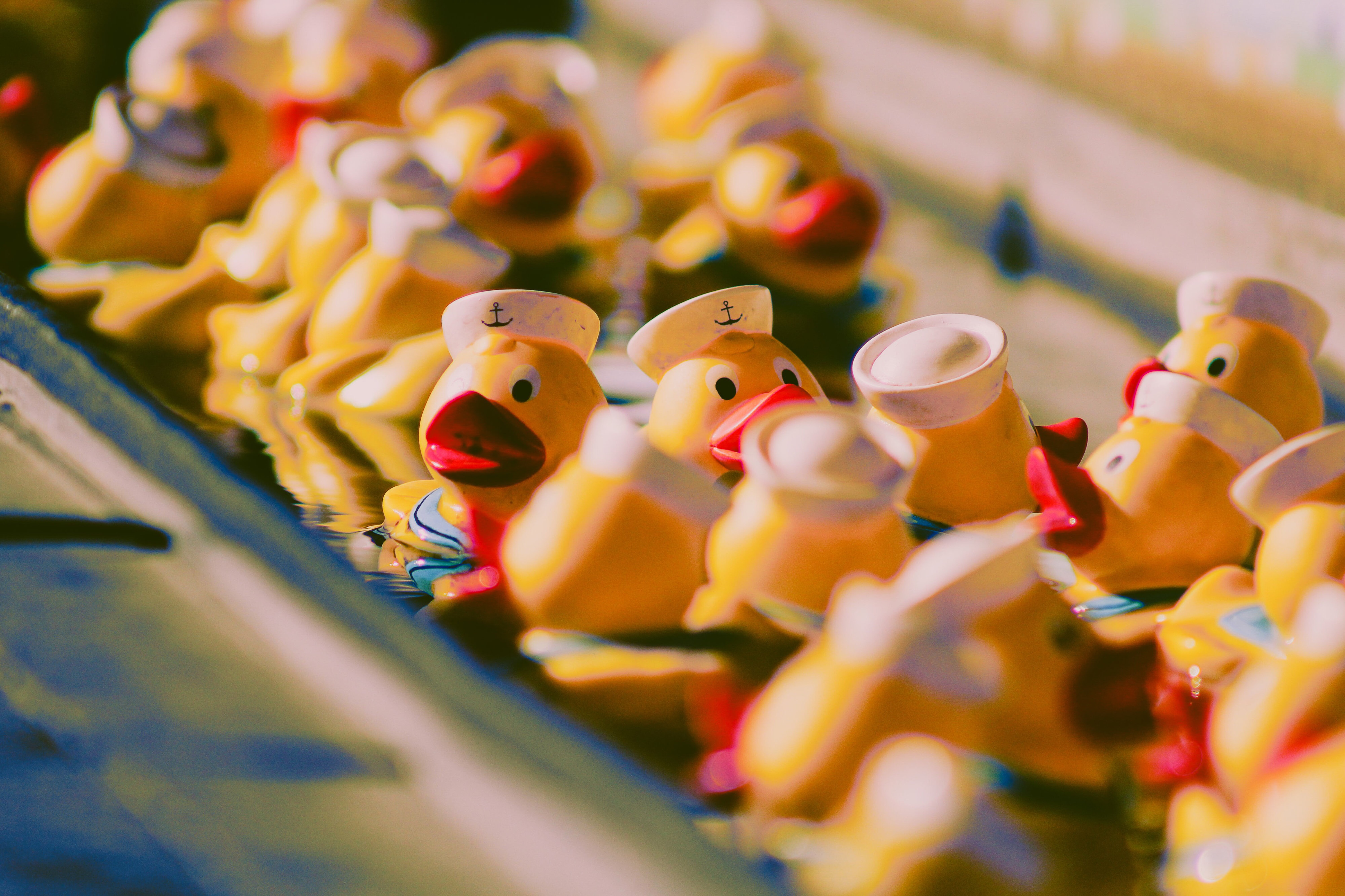 rubber ducks