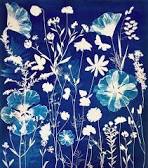 Cyanotype