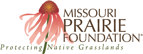 logo for the missouri prairie foundation with a coneflower