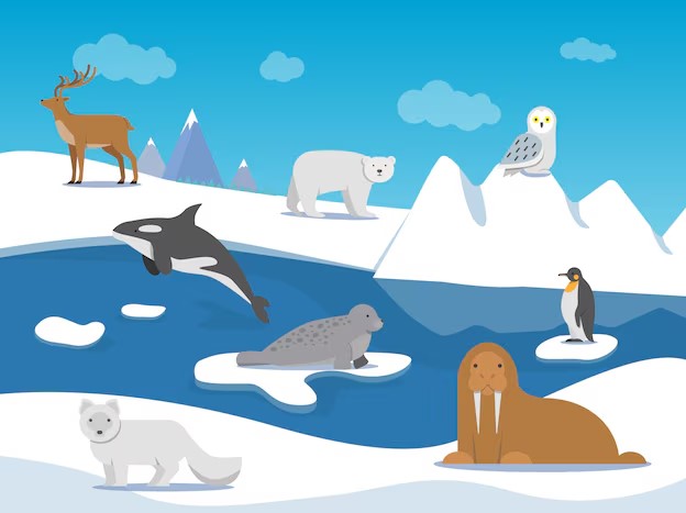 Drawn image of a polar landscape showing snow drifts, ice, and a variety of polar animals.