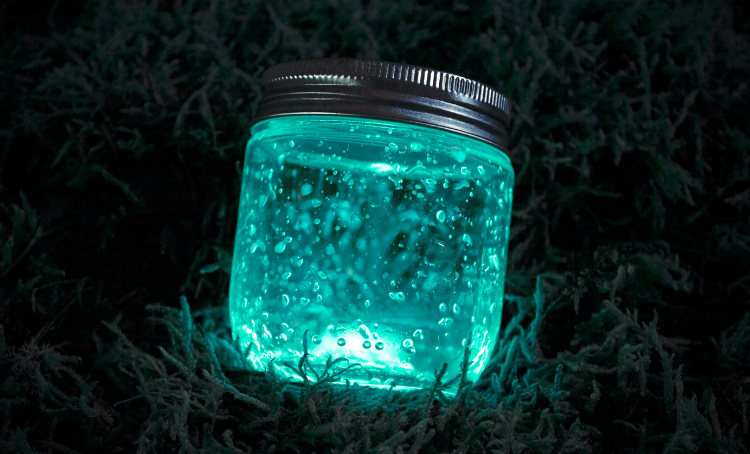 starry night jar
