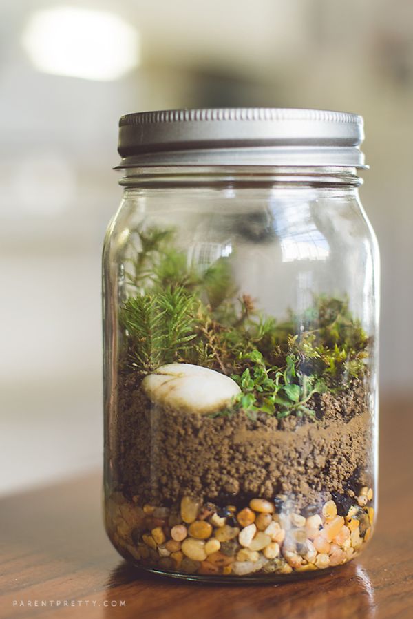 Mason jar terrarium