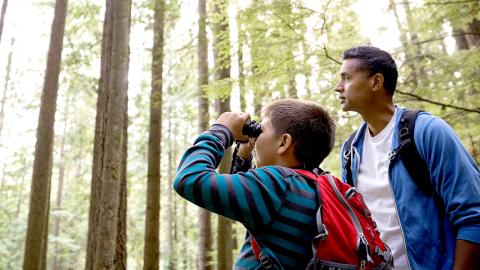 Adult and child looking through binoculars in a forest