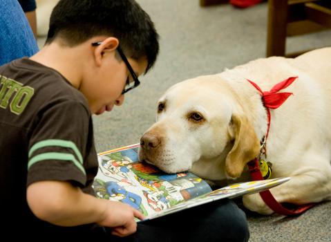 Child reading with a dog resting its head on the book