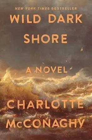 book cover for Wild Dark Shore